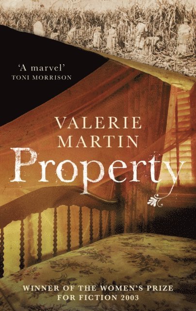 Valerie Martin - Property, E-bok