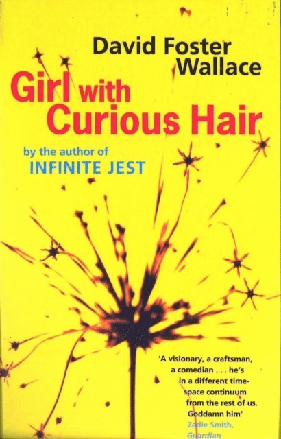 David Foster Wallace - Girl With Curious Hair, E-bok