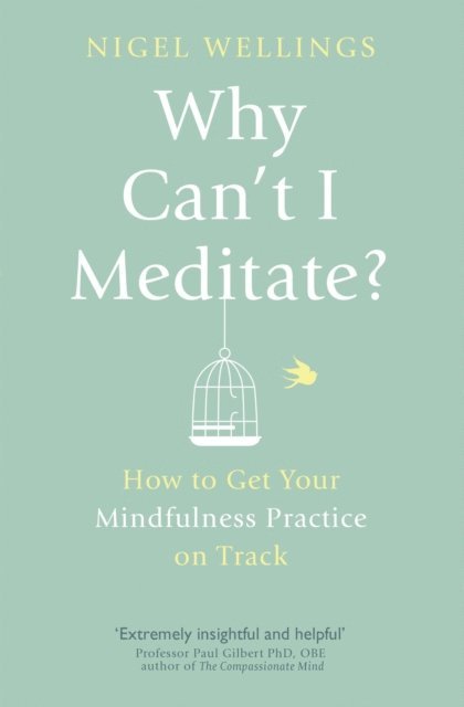 Nigel Wellings - Why Can't I Meditate?, E-bok