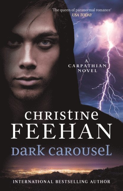 Christine Feehan - Dark Carousel, E-bok
