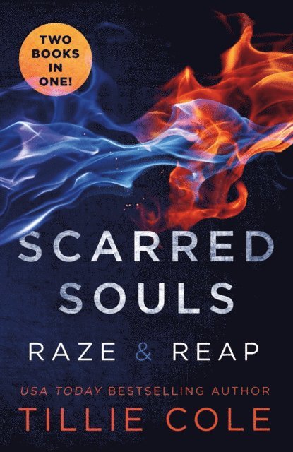 Tillie Cole - Scarred Souls, E-bok
