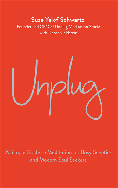 Suze Yalof Schwartz - Unplug, E-bok