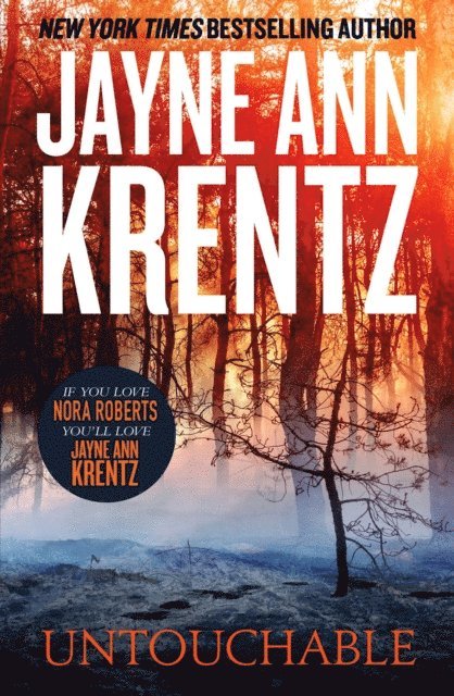 Jayne Ann Krentz - Untouchable, E-bok