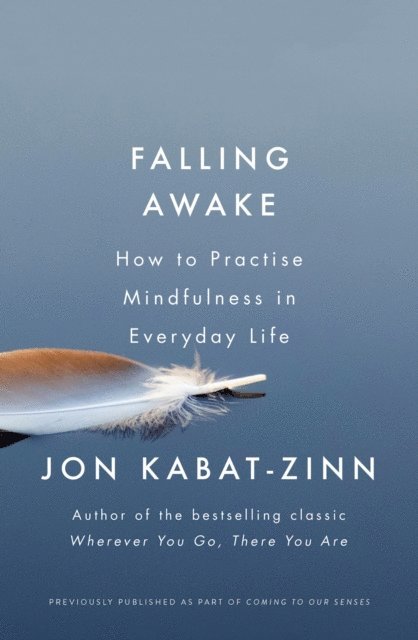 Jon Kabat-Zinn - Falling Awake, E-bok