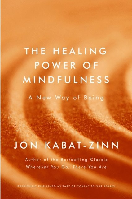 Jon Kabat-Zinn - Healing Power of Mindfulness, E-bok