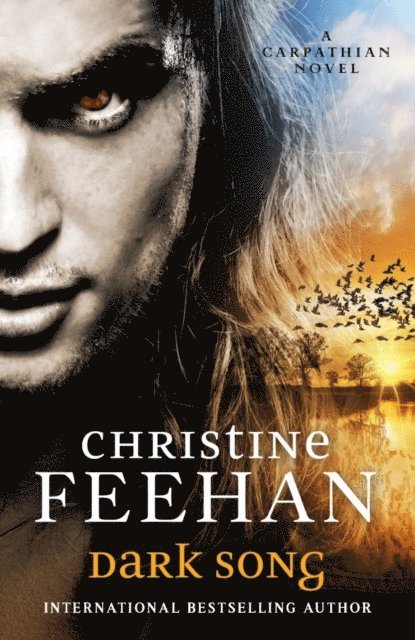 Christine Feehan - Dark Song, E-bok