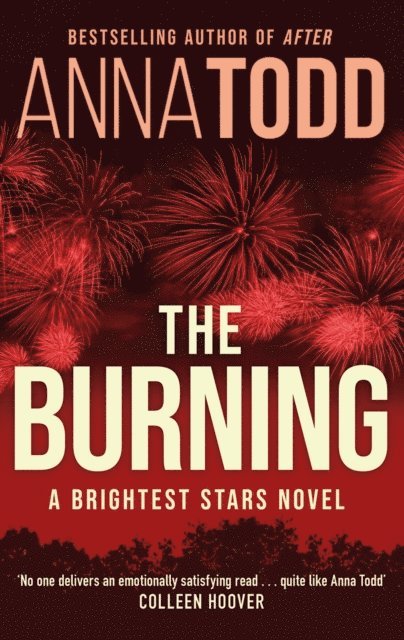 Anna Todd - Burning, E-bok