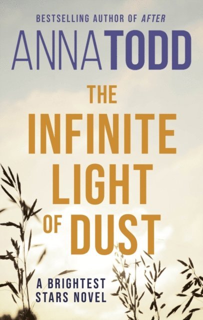 Anna Todd - Infinite Light of Dust, E-bok