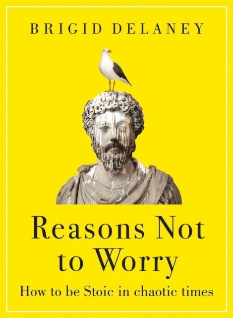 Brigid Delaney - Reasons Not to Worry, E-bok