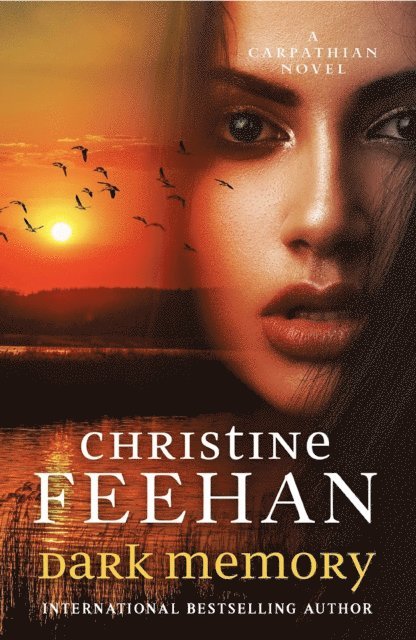 Christine Feehan - Dark Memory, E-bok