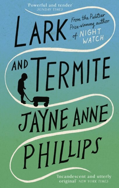 Jayne Anne Phillips - Lark and Termite, E-bok