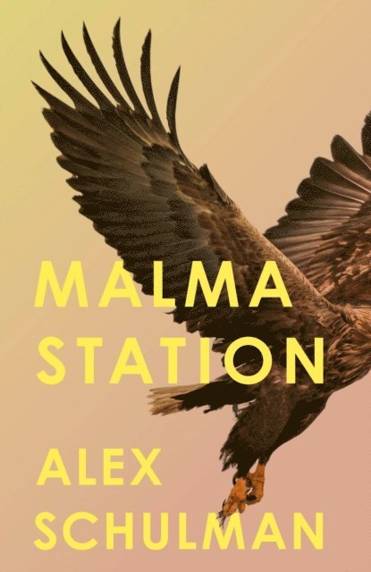 Alex Schulman - Malma Station, E-bok