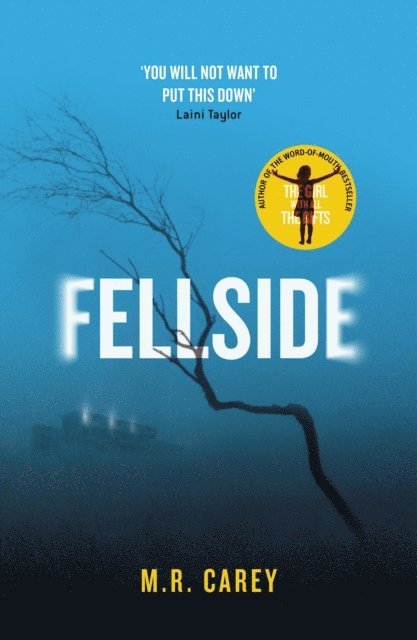 M. R. Carey - Fellside, E-bok