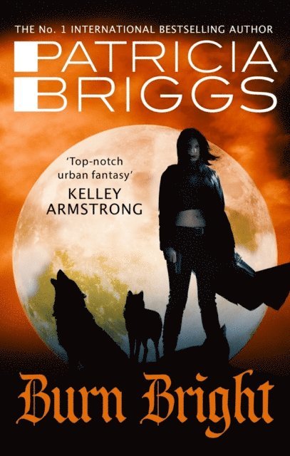 Patricia Briggs - Burn Bright, E-bok