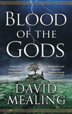 David Mealing - Blood of the Gods, Häftad