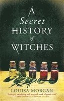Secret History of Witches av Louisa Morgan
