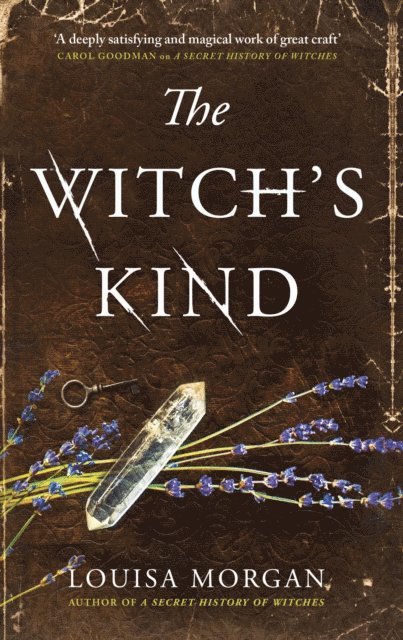 Louisa Morgan - Witch's Kind, E-bok