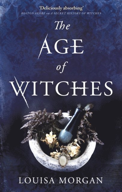 Louisa Morgan - Age of Witches, E-bok