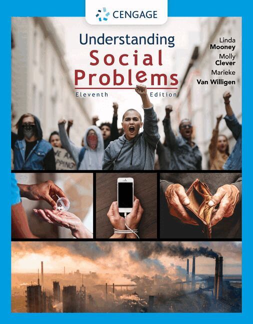 Linda Mooney, Molly Clever, Marieke Van Willigen - Understanding Social Problems, Häftad