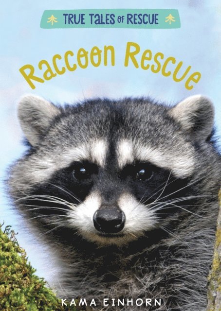 Kama Einhorn - Raccoon Rescue, E-bok
