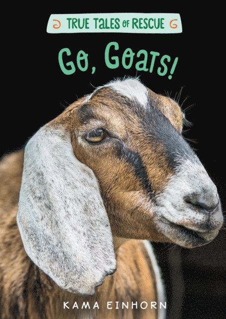 Kama Einhorn - Go, Goats!, E-bok
