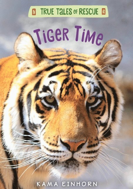 Kama Einhorn - Tiger Time, E-bok