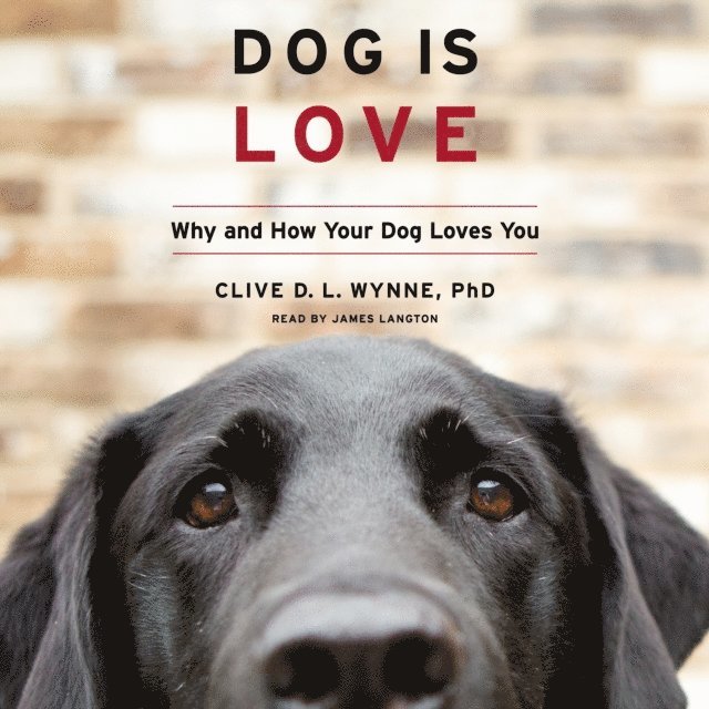 Clive D. L. Wynne - Dog Is Love, Ljudbok