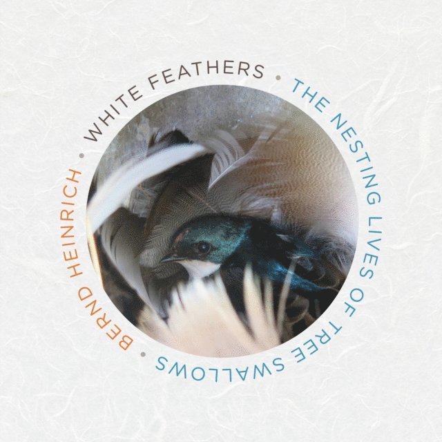 Bernd Heinrich - White Feathers, Ljudbok