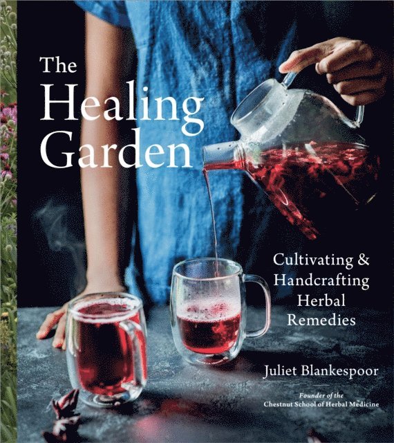 Healing Garden