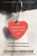Where The Lost Dogs Go