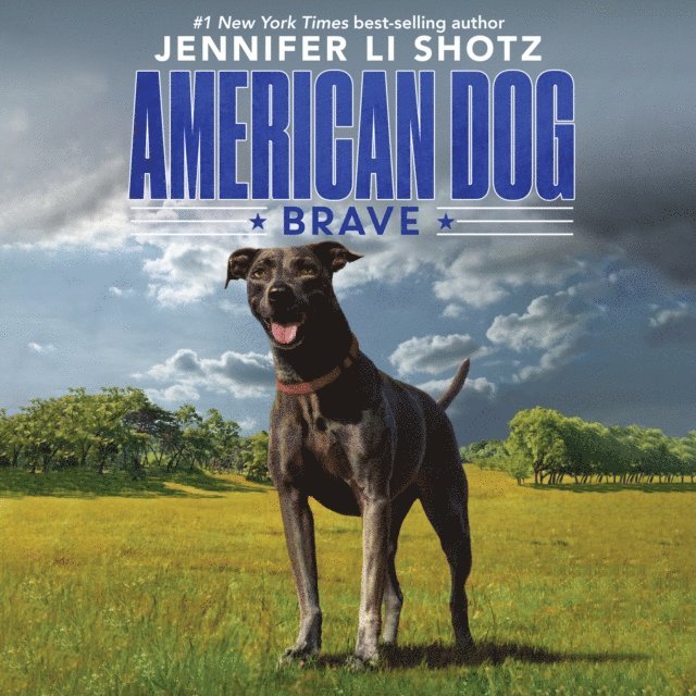Jennifer Li Shotz - Brave, Ljudbok