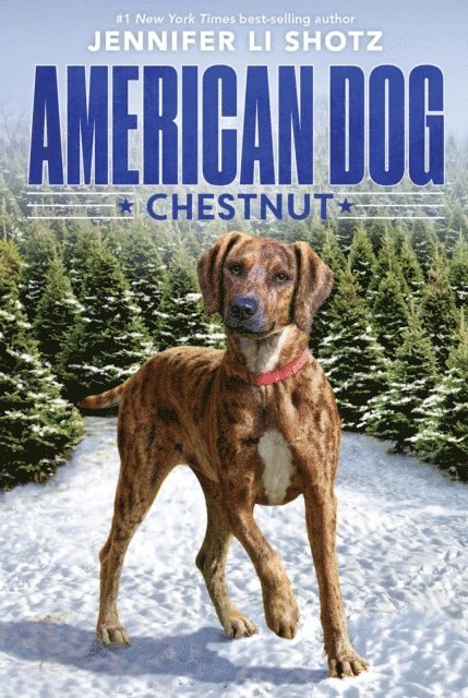 Jennifer Li Shotz - Chestnut, E-bok