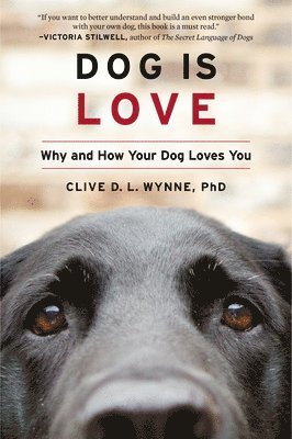 Clive D. L. Wynne - Dog Is Love, Häftad