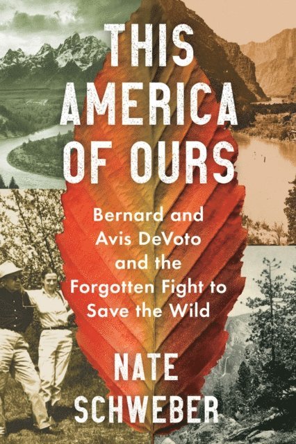 Nate Schweber - This America of Ours, E-bok. Tillgänglighet: Lägg i varukorg
