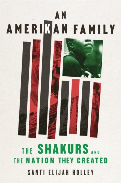 Santi Elijah Holley - Amerikan Family, E-bok