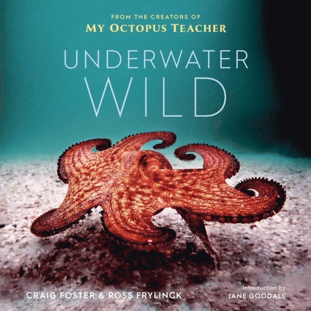 Ross Frylinck, Craig Foster - Underwater Wild, E-bok. Tillgänglighet: Lägg i varukorg