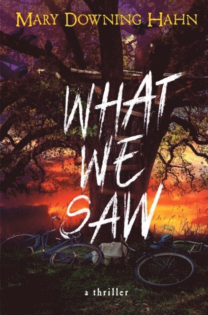 Mary Downing Hahn - What We Saw, E-bok