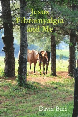 David Buie - Jesus Fibromyalgia and Me, Häftad. Tillgänglighet: Lägg i varukorg