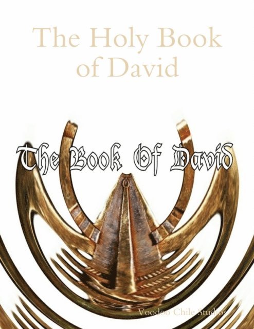 Voodoo Chile Studios - Holy Book of David, E-bok