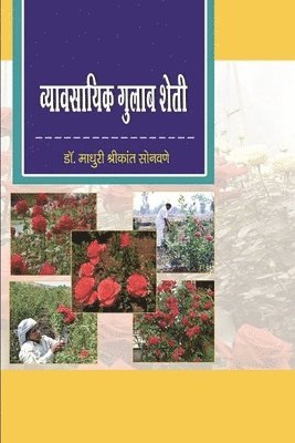 डॉ. माधु सोनवणे - व्यावसायिक गुलाब शेती, Häftad