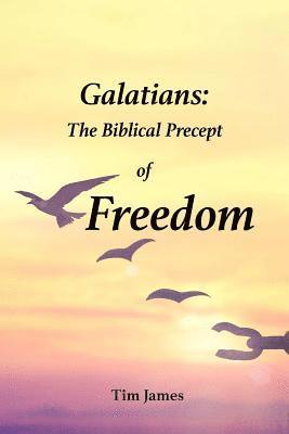 Tim James - Galatians, Häftad
