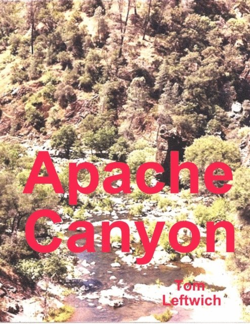 Tom Leftwich - Apache Canyon, E-bok