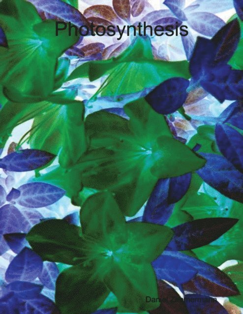 Daniel Zimmermann - Photosynthesis, E-bok