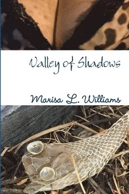 Marisa L Williams - Valley of Shadows, Häftad. Tillgänglighet: Lägg i varukorg