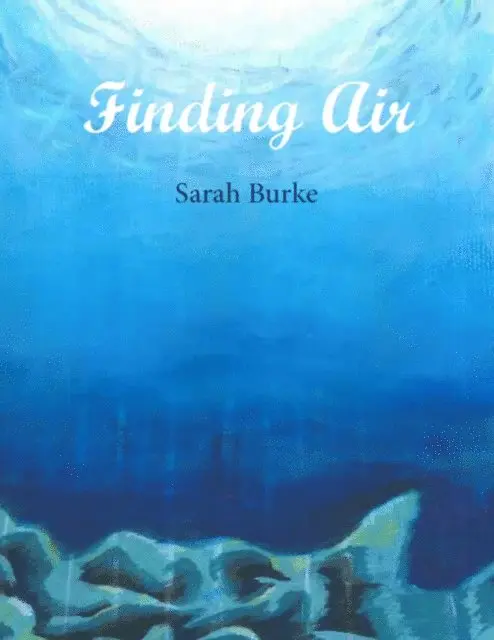 Sarah Burke - Finding Air, E-bok. Tillgänglighet: Lägg i varukorg