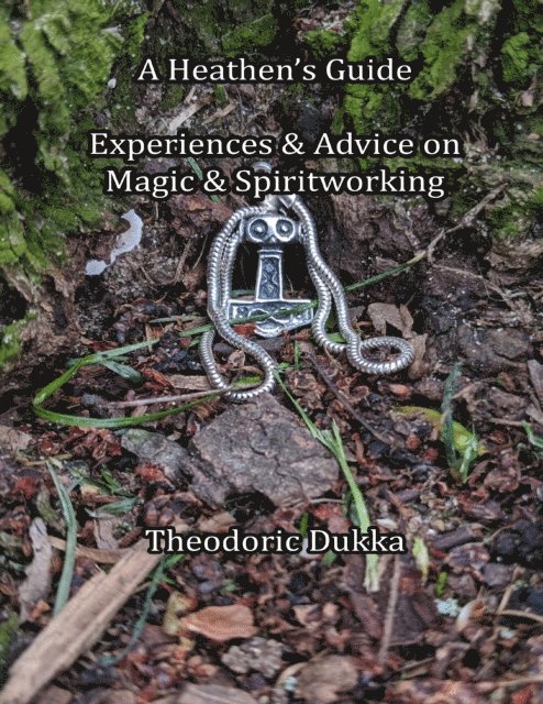 Theodoric Dukka - Heathen's Guide Experiences & Advice On Magic & Spiritworking, E-bok