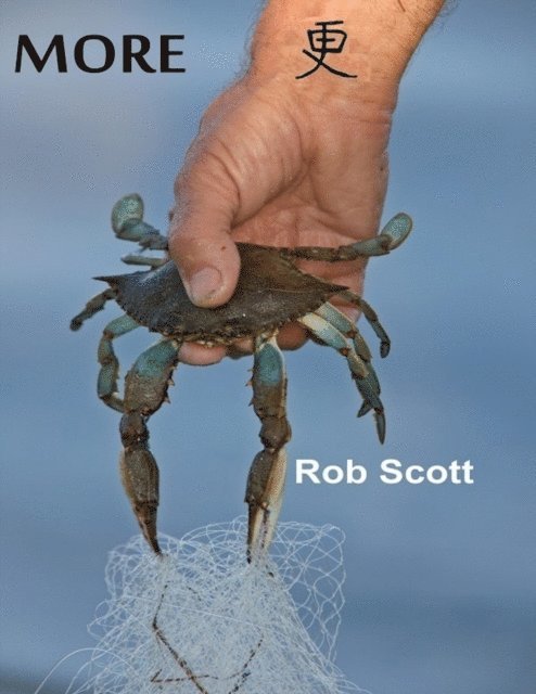 Rob Scott - More, E-bok