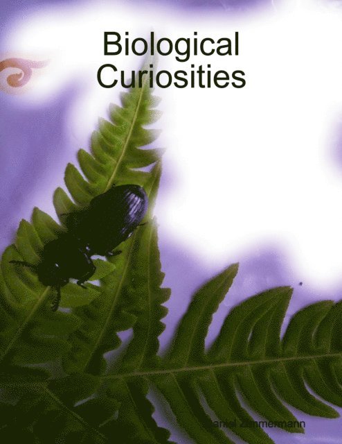 Daniel Zimmermann - Biological Curiosities, E-bok