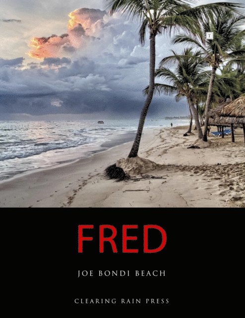 Joe Bondi Beach - Fred, E-bok. Tillgänglighet: Lägg i varukorg