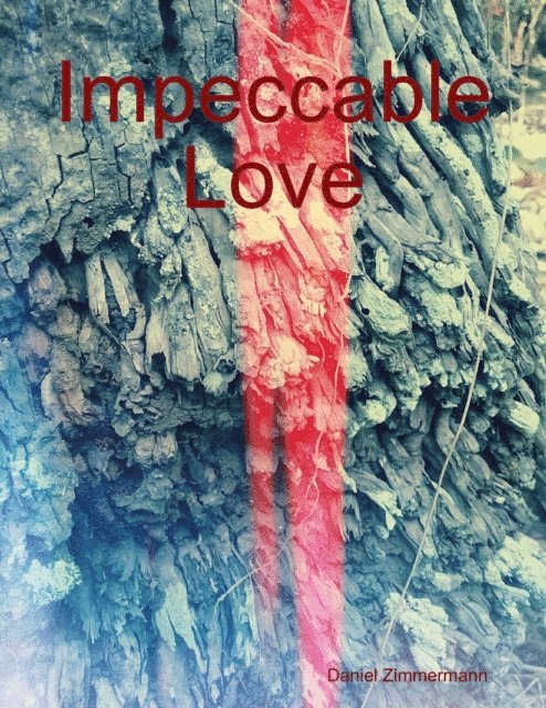 Daniel Zimmermann - Impeccable Love, E-bok